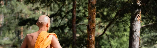 Back view of buddhist meditating in forest, banner — Stock Photo