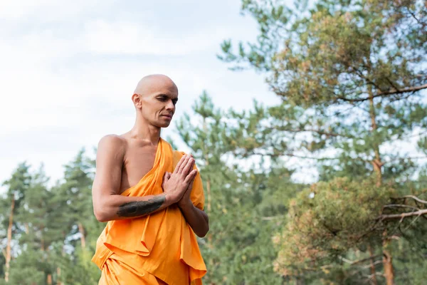 Budista com olhos fechados e mãos de oração meditando na floresta — Fotografia de Stock