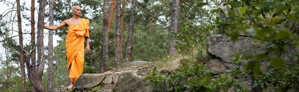 Повний вигляд на буддиста в помаранчевому халаті, що йде в лісі, банер — стокове фото