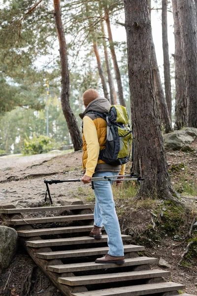 Vista posteriore del turista con zaino che trasporta bastoncini da trekking mentre cammina su scale in legno nel bosco — Foto stock