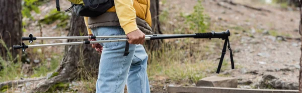 Cropped view of hiker holding trekking poles while walking in forest, banner — Stock Photo