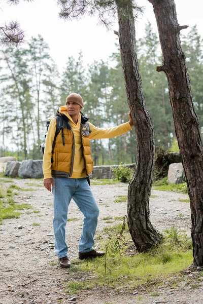 Randonneur en gilet chaud et bonnet regardant loin tout en se tenant près des arbres dans la forêt — Photo de stock