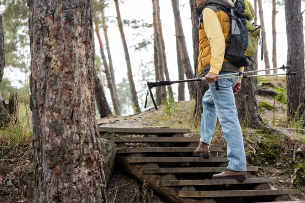 Vue partielle de la tenue touristique bâtons de trekking tout en marchant sur des escaliers en bois dans la forêt — Photo de stock