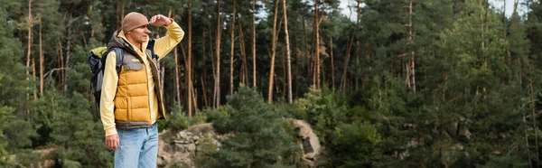 Hiker in warm vest and beanie holding hand near forehead and looking away in forest, banner — Stock Photo