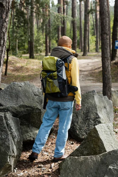 Rückansicht eines Touristen mit Rucksack, der in der Nähe von Felsen im Wald steht — Stockfoto