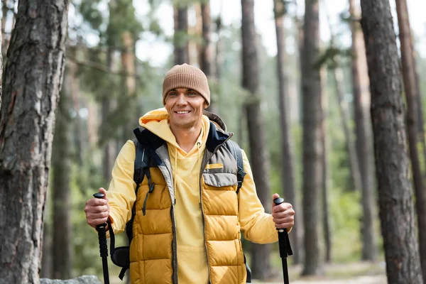 Homem feliz em gorro e colete quente de pé com postes de trekking na floresta — Fotografia de Stock