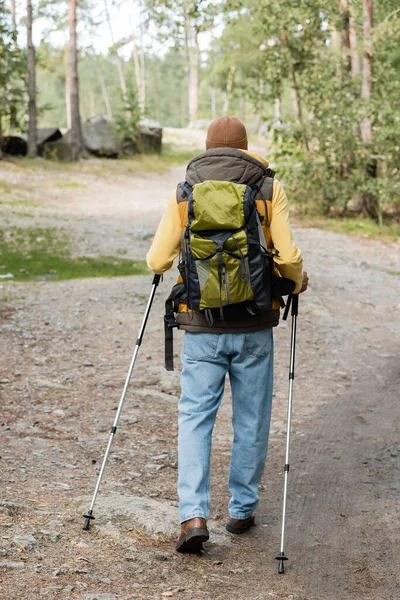 Vista trasera de turista con mochila caminando con bastones de trekking en bosque — Stock Photo
