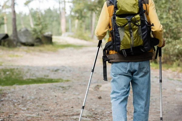 Back view of cropped man with backpack and trekking poles walking in forest — Stock Photo