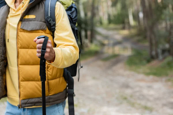 Vista parcial del excursionista en chaleco caliente que sostiene el poste de trekking al aire libre - foto de stock