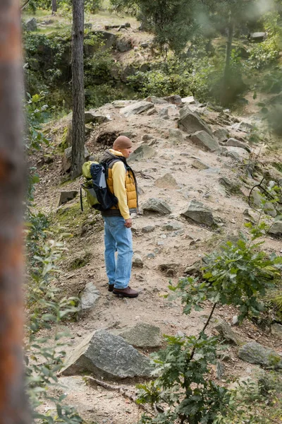 Vue grand angle du voyageur avec sac à dos debout sur le sentier dans la forêt d'automne — Photo de stock