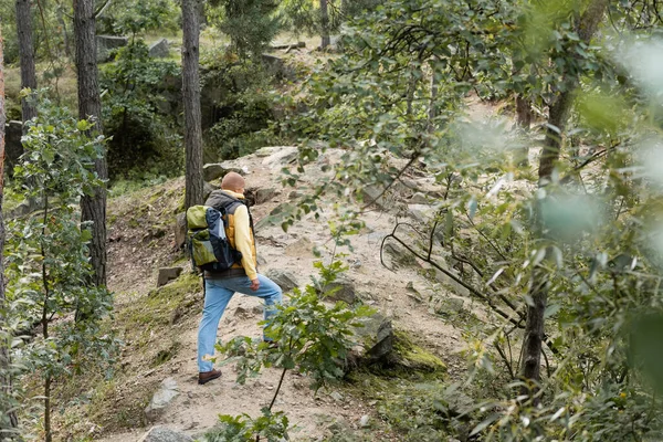 Aus der Vogelperspektive: Wanderer mit Rucksack im Wald unterwegs — Stockfoto