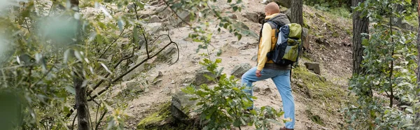 Ganzkörperansicht des Reisenden mit Rucksack, der auf dem Wanderweg im Wald steht, Banner — Stockfoto