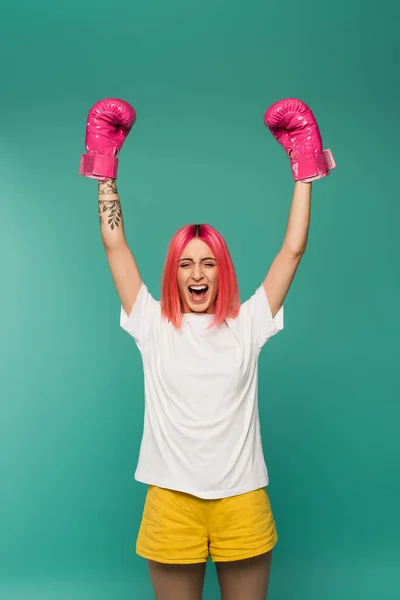 Ganador emocionado con el pelo teñido de rosa en guantes de boxeo regocijo aislado en azul - foto de stock