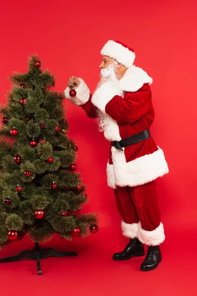 Vista lateral de santa claus segurando bola de Natal perto da árvore no fundo vermelho — Fotografia de Stock