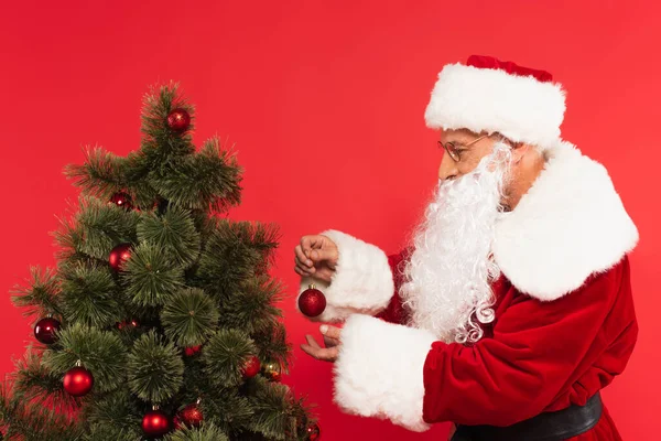 Side view of santa claus in costume holding decorative ball near christmas tree isolated on red — Stock Photo
