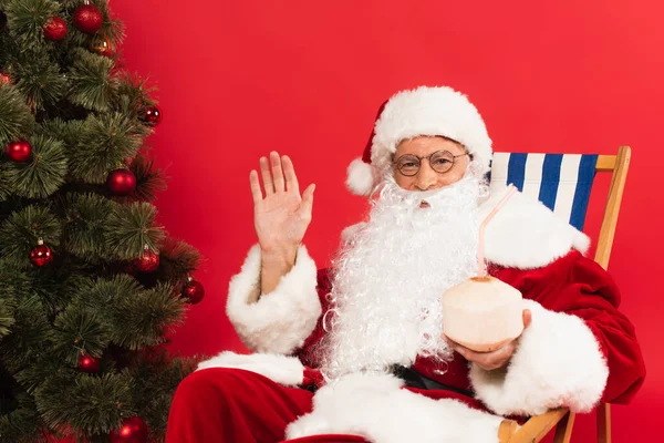 Santa Claus saludando de la mano mientras sostiene el cóctel en coco y sentado en la silla de cubierta cerca del árbol de Navidad aislado en rojo - foto de stock