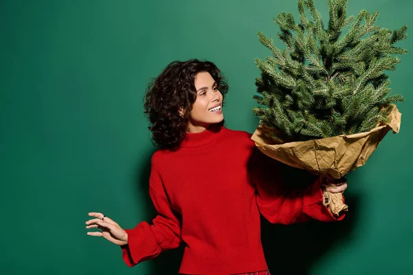 A young woman in a red sweater joyfully holds a wrapped Christmas tree against green. — стокове фото