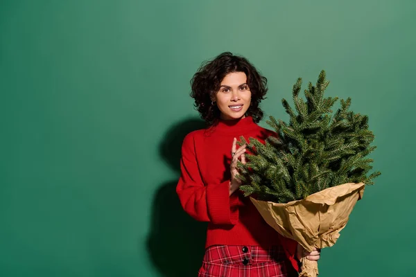A stylish woman in a red sweater holds a wrapped tree against a bright green background. — Photo de stock
