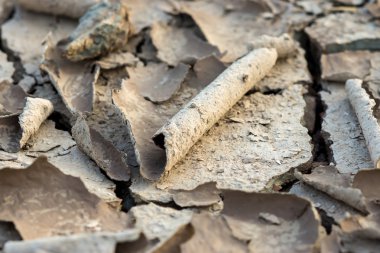 Yaz aylarında kırık kurutulmuş çamur.