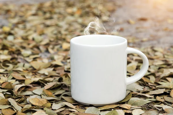 Taza de café blanco en el suelo con hojas secas del árbol de la lluvia . —  Fotos de Stock