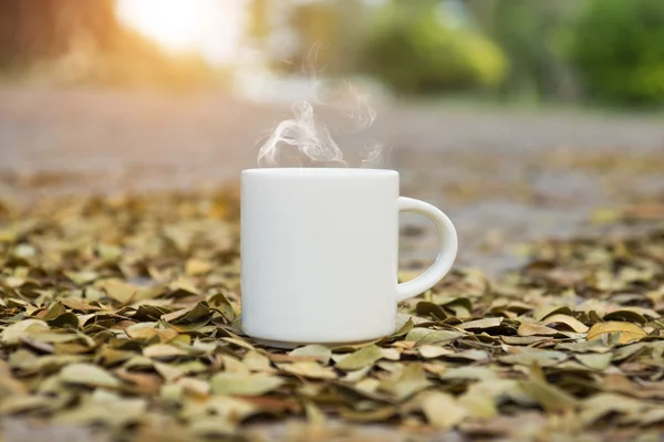 White coffee cup on the ground with dry leaves of the rain tree.