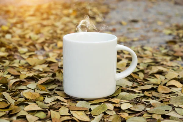 Copo de café branco no chão com folhas secas da árvore de chuva . — Fotografia de Stock