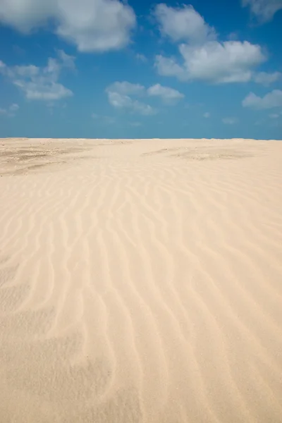 Líneas en la arena de una playa — Foto de Stock