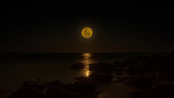 Gece gökyüzü ve deniz dolunayda. — Stok fotoğraf