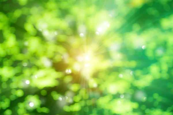 Abstract green light with sun rays. — Stock Photo, Image