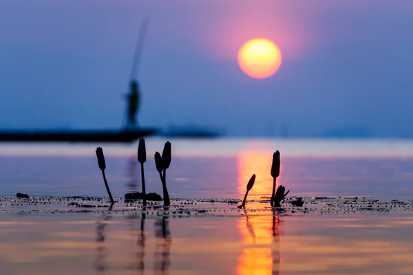 Silhouette näckros blomma med fiskaren bakgrund och Sunse — Stockfoto