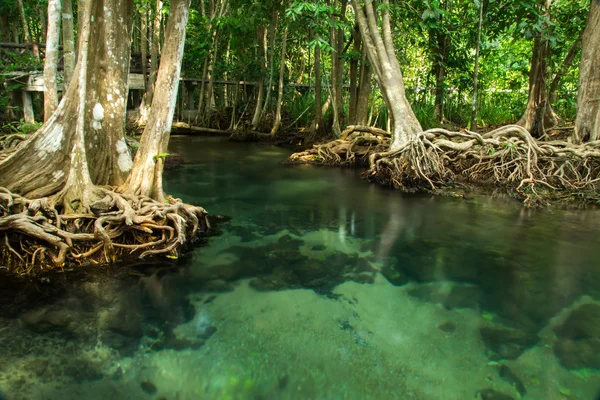 Fantastisk natur, grönt vatten i skogen. Krabi, Thailand. — Stockfoto
