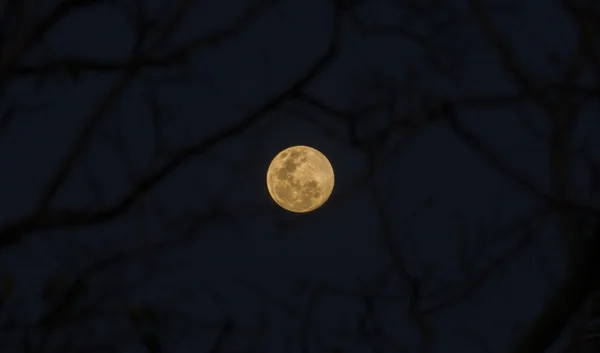 Night sky and a full moon. — Stock Photo, Image