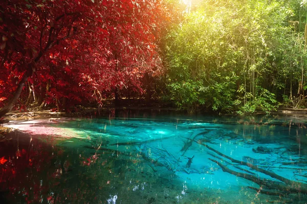 Increíble naturaleza, estanque azul en el bosque. Krabi, Tailandia . — Foto de Stock