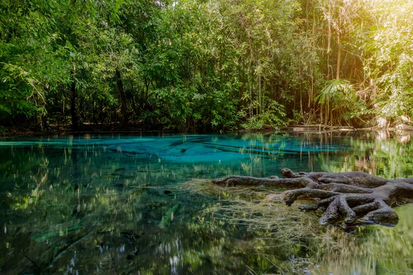 Increíble naturaleza, estanque azul en el bosque. Krabi, Tailandia . —  Fotos de Stock