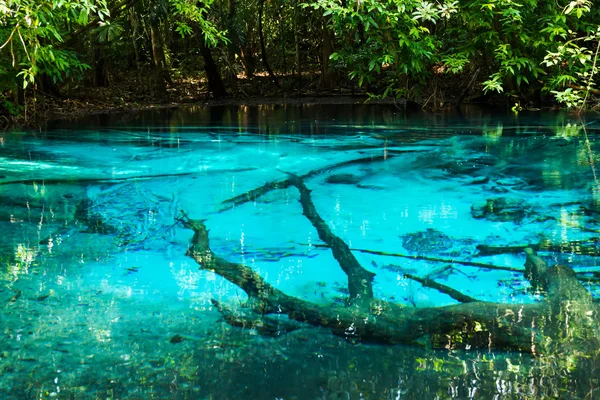 Increíble naturaleza, estanque azul en el bosque. Krabi, Tailandia . — Foto de Stock