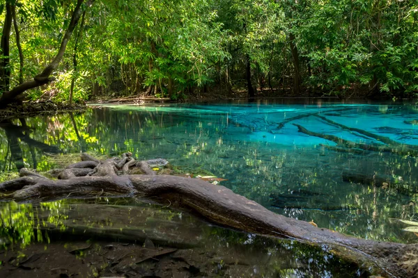 Increíble naturaleza, estanque azul en el bosque. Krabi, Tailandia . —  Fotos de Stock