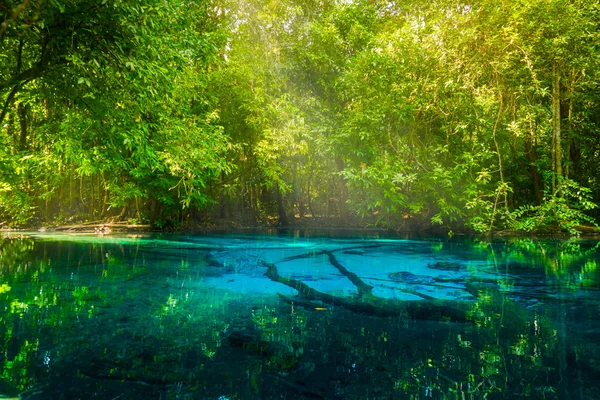 Nature incroyable, étang bleu dans la forêt. Krabi, Thaïlande . — Photo