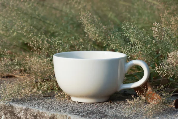 Coffee cup with small flower grass — Stock Photo, Image