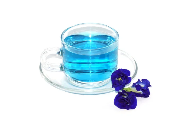 蓝茶从蝴蝶豌豆花 — 图库照片