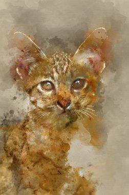 Bengal kedisi açık kahverengi ve krem suluboya resim.