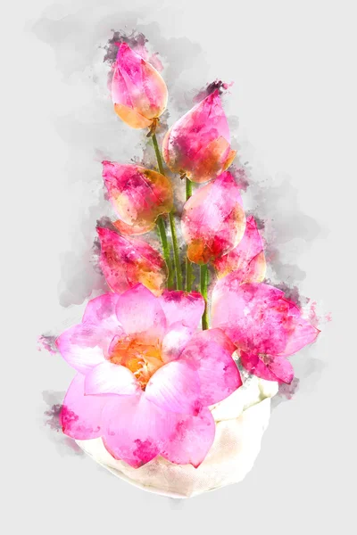 Immagine ad acquerello di composizioni floreali con loto sul retro bianco — Foto Stock