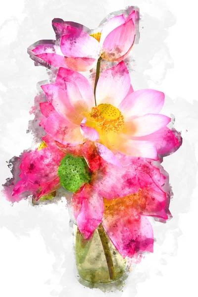 Υδατογραφία εικόνας των ρυθμίσεων λουλουδιών με λωτό στην άσπρη πλάτη — Φωτογραφία Αρχείου