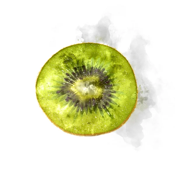 Watercolor image of kiwi fruit. — Stock Photo, Image
