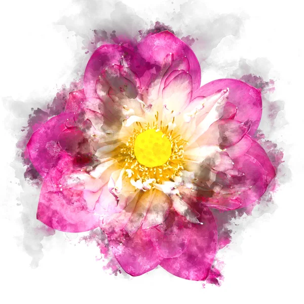 Imagem aquarela da flor de lótus rosa . — Fotografia de Stock