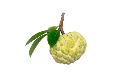 Şeker elma meyve beyaz arka plan üzerinde. 