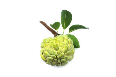 Şeker elma meyve beyaz arka plan üzerinde. 