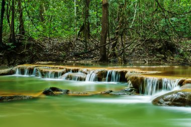 Yazın ormanda küçük bir şelale..