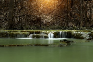 Yazın ormanda küçük bir şelale..