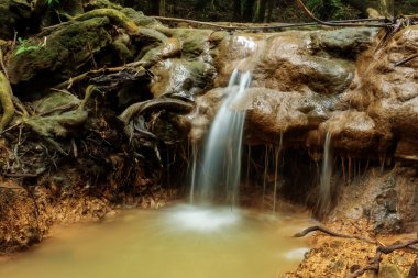 Hareket su ormandaki küçük şelale.