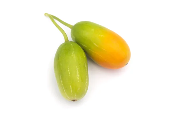 Ivy Gourd fruit. (Coccinia grandis) — Stock Photo, Image